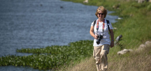 Birdwatching Куба - водохранилище Nina Bonita