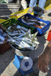 В Бодрум, пресният улов се продава директно на пристанището