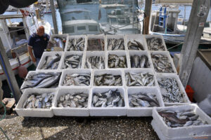 Рибен пазар в Бодрум