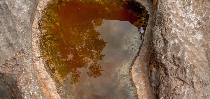 Богородична стъпка