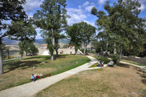 Цари Мали Град