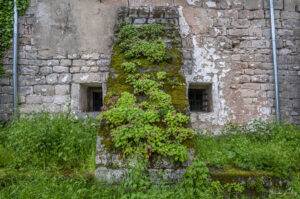 Контрафорси покрити с мъх и здравец