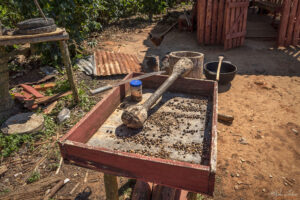 Ферма Rancho Alegre, Винялес - демонстрация на процеса за производство на кафе