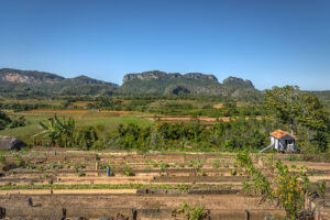 Био-ферма Finca Agroecol&oacute;gica El Paraiso, Куба