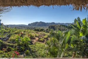 Био-ферма Finca Agroecol&oacute;gica El Paraiso, долината Винялес