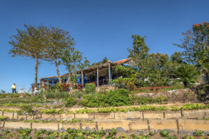 Ресторанта на био-ферма Finca Agroecol&oacute;gica El Paraiso, Куба