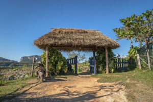 Входа на био-ферма Finca Agroecol&oacute;gica El Paraiso
