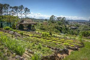 Био-ферма Finca Agroecol&oacute;gica El Paraiso, долината Винялес