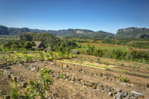 Био-ферма Finca Agroecol&oacute;gica El Paraiso, долината Винялес