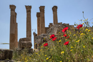 Джераш - феерия от цъфнали навсякъде макове