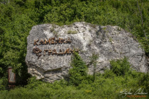 Каменна градина, Карлуково