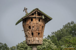 Каменните къщи край Карлуково - къща за птици