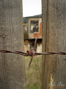 Копривщица