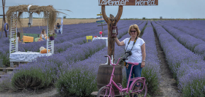 Lavender World (Лавандулов свят)