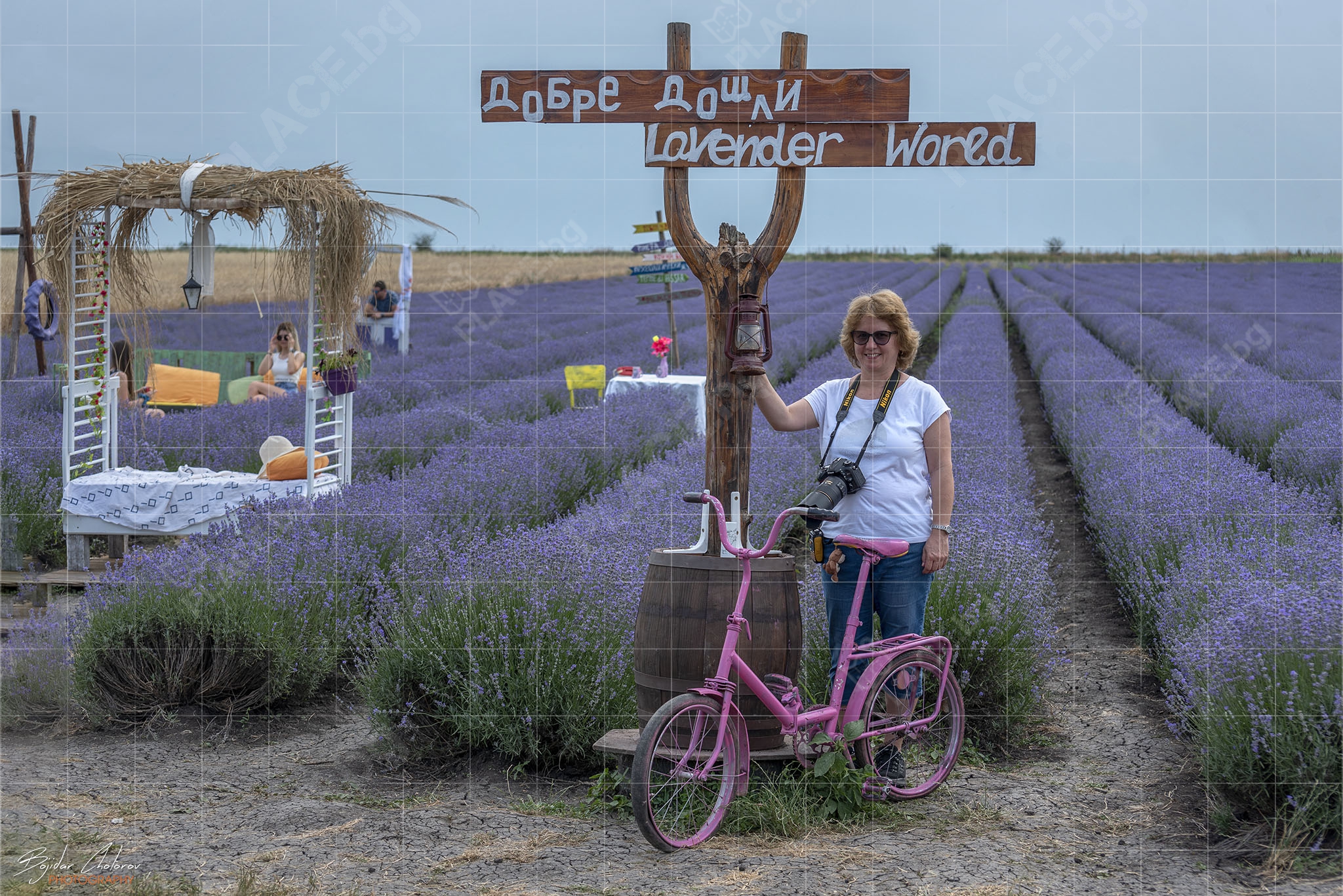 Lavender World (Лавандулов свят)