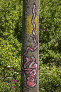 The Rural Murals Project, село Любница