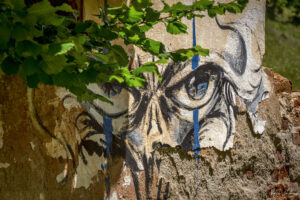The Rural Murals Project - Gallery One, село Любница
