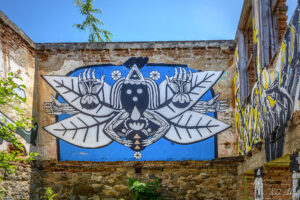 The Rural Murals Gallery One, село Любница