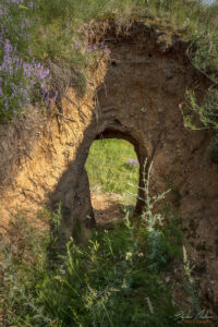 Проходът през Прокопаната могила