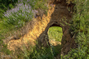 Проходът през Прокопаната могила