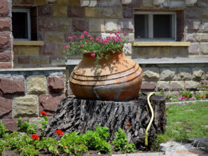 Резиденция Евксиноград