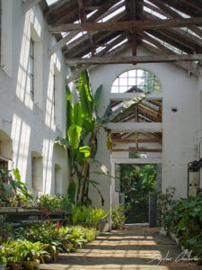 Оранжерии с над 310 вида растения