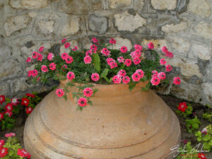 Парка на Двореца &bdquo;Евксиноград&ldquo;