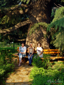 Парка на резиденция Евксиноград