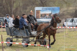 Тодоров ден в Крупник