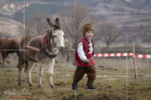Конски Великден в Крупник