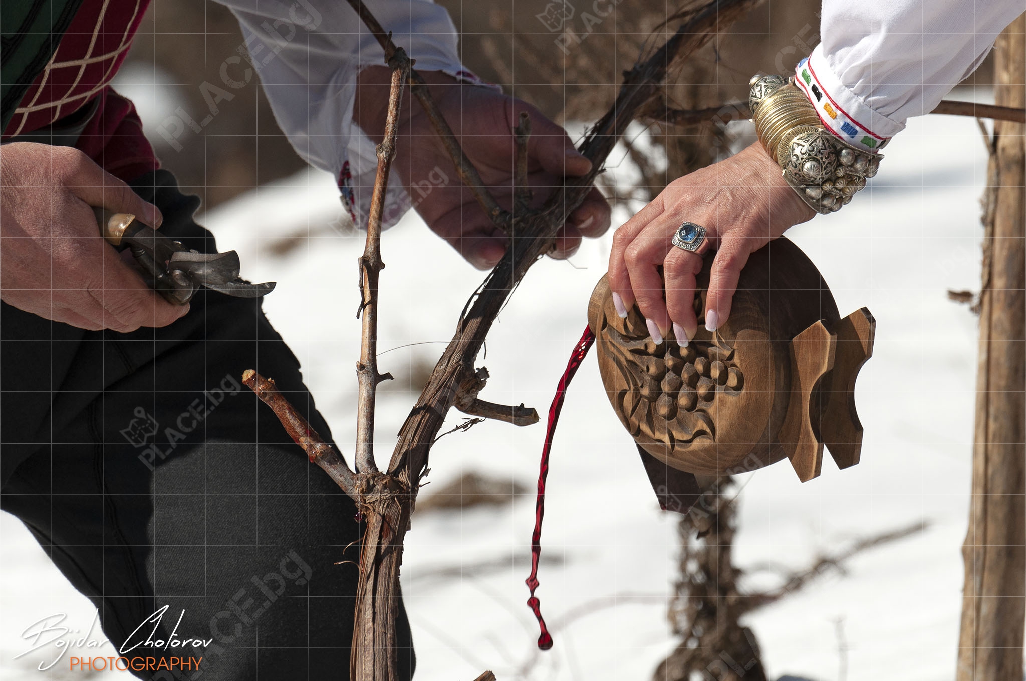 Ритуалното зарязване на лозите в град Шипка на Трифон Зарезан