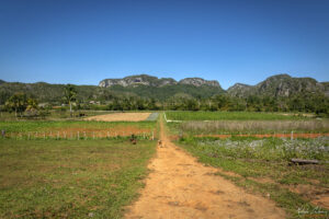 Туристическа ферма Rancho Alegre, Винялес, Куба