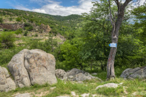 Началото на пътеката към Влахински водопад е маркирано с табела