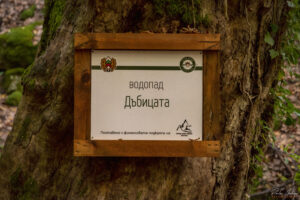 Водопад Дъбицата