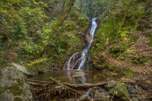 Водопад Дъбицата над село Скрът